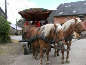 Promenade en calèche avec l'EHPAD de Mauron