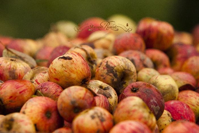 Jus de pommes