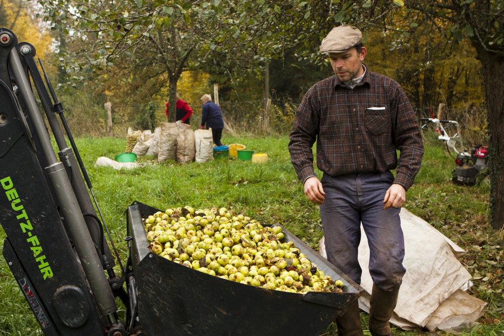 Producteur de pommes Maison Ruaud Producteur de pommes Maison Ruaud